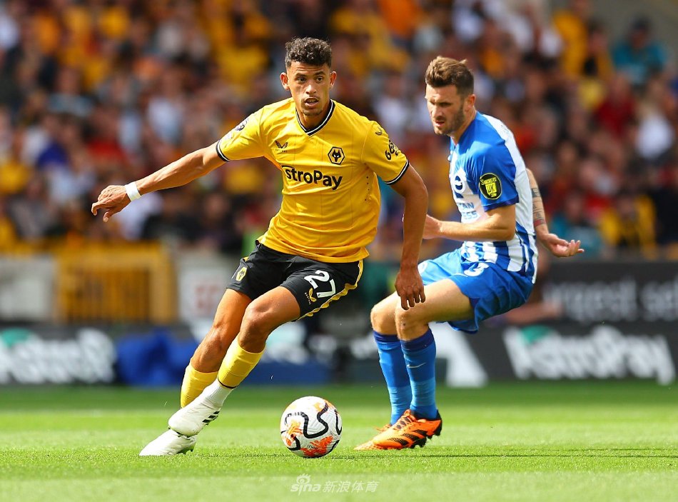 给了斯波试 给了斯波试